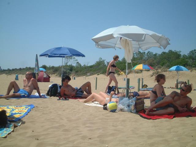 strand3.jpg