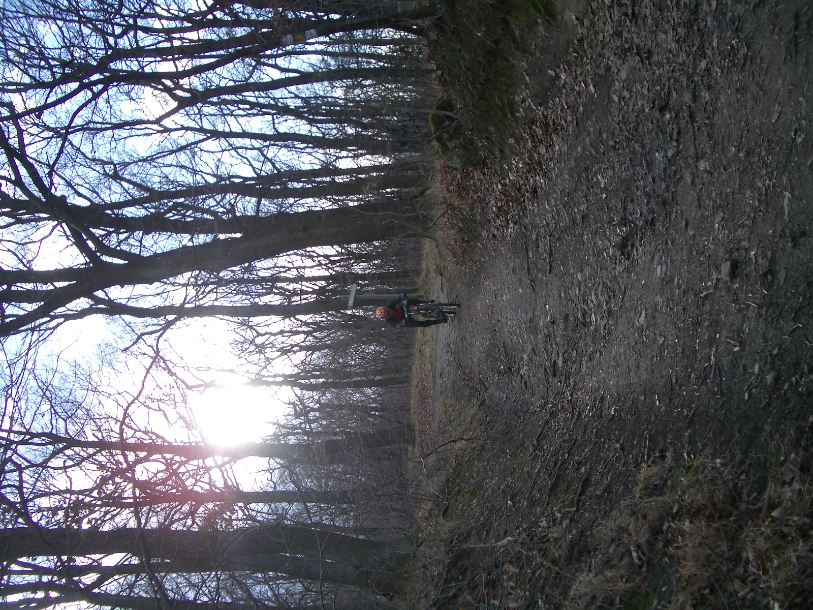 IMGP2347.JPG