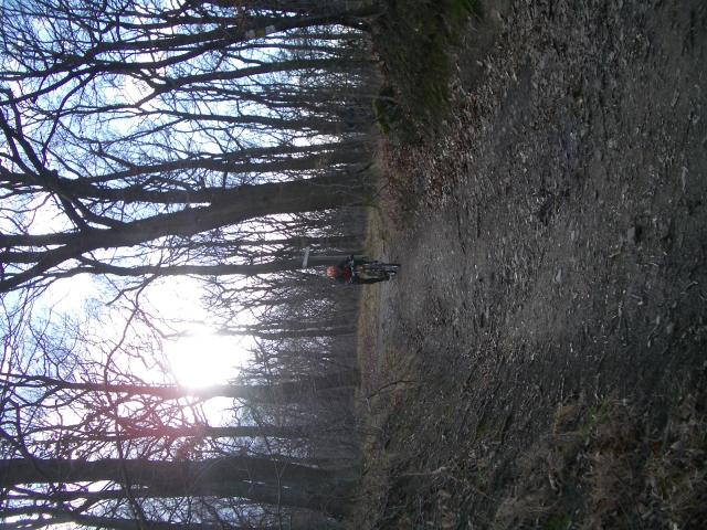 IMGP2347.JPG