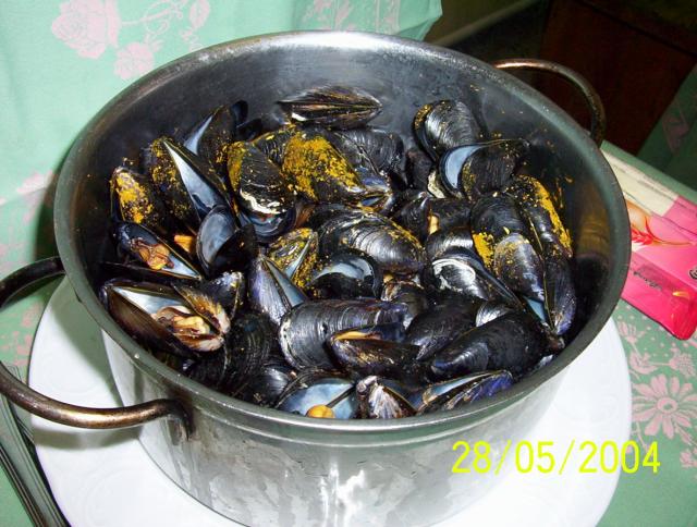 100_0449.JPG